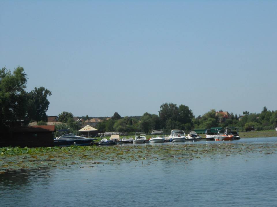 1013655_10200924156121683_777412985_n