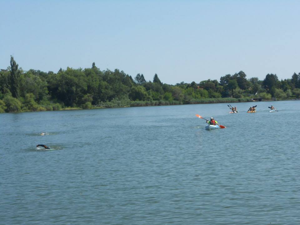 1017057_10200924156481692_1147047110_n