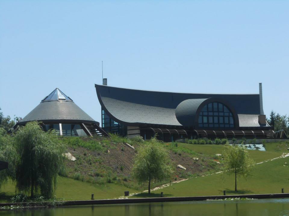 1135_10200924166921953_623999307_n