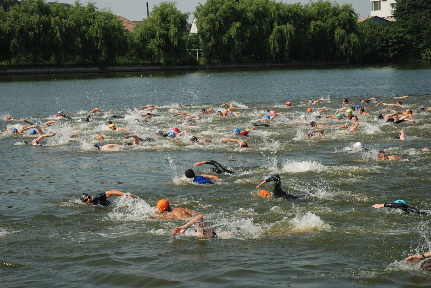 1049238_10151575844173863_21031305_o