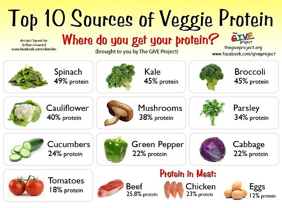 Top-10-Sources-of-Veggie-Protein