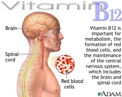 hcg vitamin b12