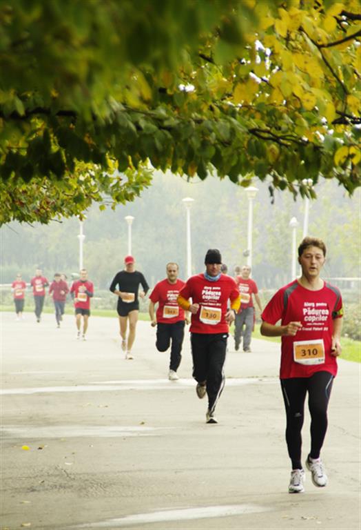 PozaParculTineretului-Medium