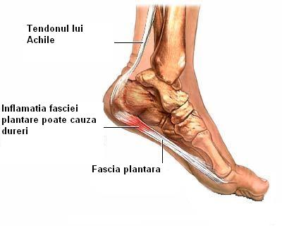 Dureri ale gleznei şi piciorului, Articulațiile piciorului doare după alergare