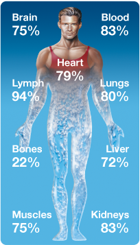 body_is_water