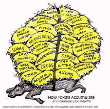 toxins-accumulate